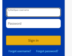 Wellspan patient portal login